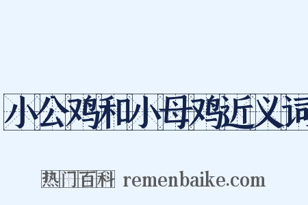 小公鸡和小母鸡近义词是什么意思的图片